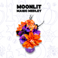 Moonlit Magic Medley Floral Bouquet & Luna Dragon Fidget Pet