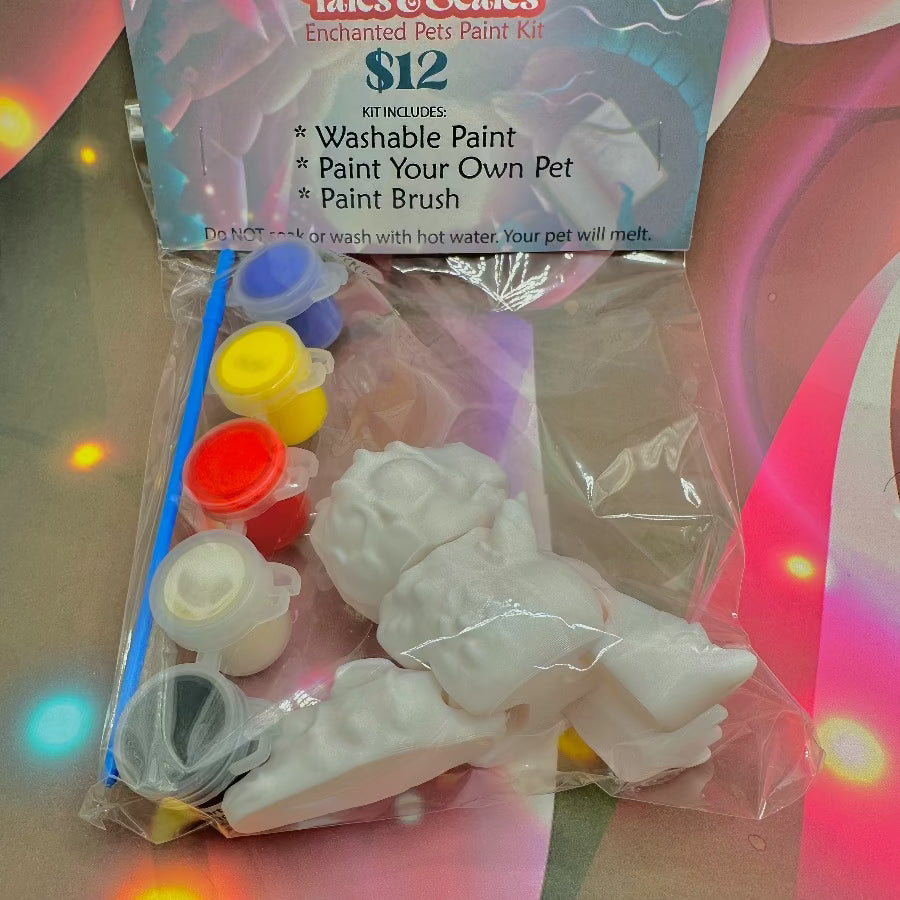 Paint Your Own Pet - Rexi Collectable Fidget Sensory Toy