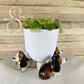 3D Printed Charlie Basset Hound Hand Painted Indoor Planter Feet Stand - Set of 3