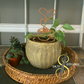 Brown Coffee Cup Heart Plant Pal 3d Printed Indoor Trellis | More Heart Studio