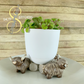 3D Printed Cow Indoor Planter Feet Stand | Salty Stitchers at More Heart Studio