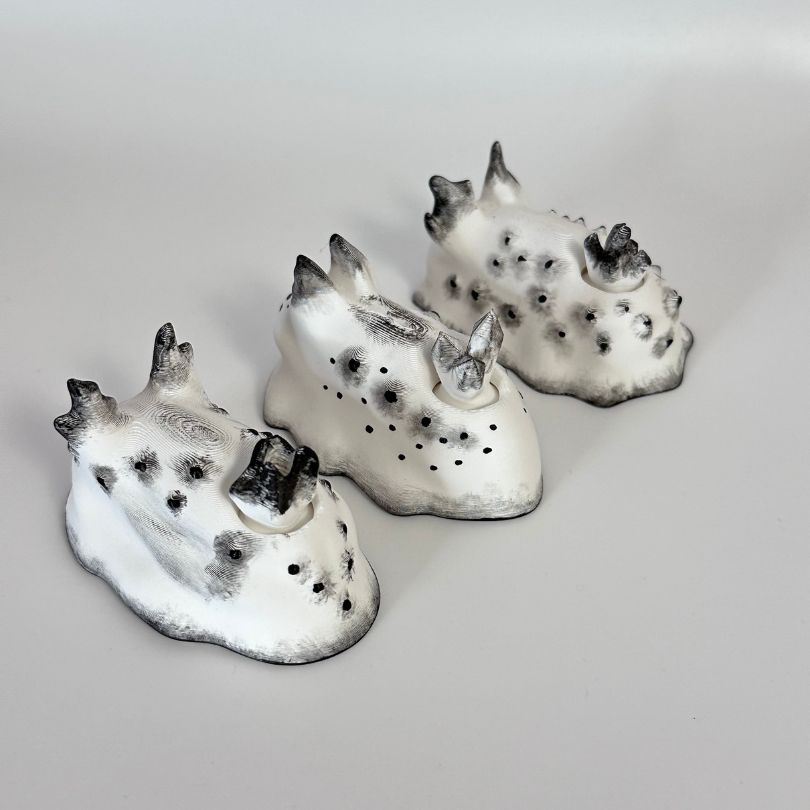  3D Printed White & Black Sea Bunny Fidget Sensory Collectible Pet 