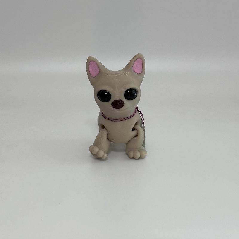 C27 Chihuahua Dog Fidget