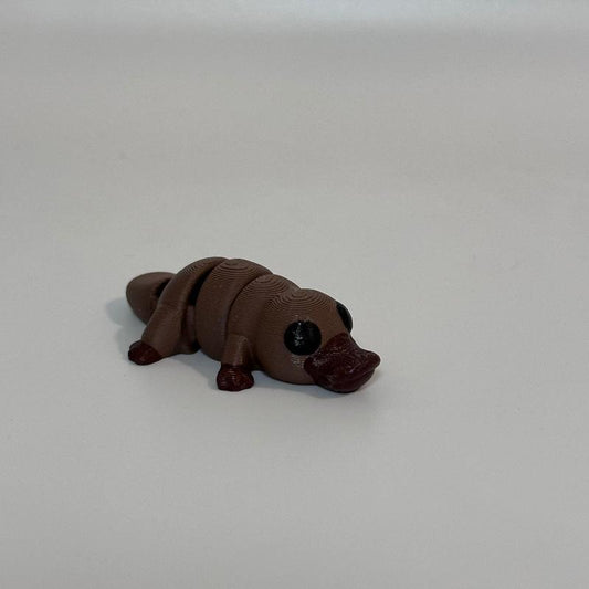 W26 Small Platypus Fidget Wildlife